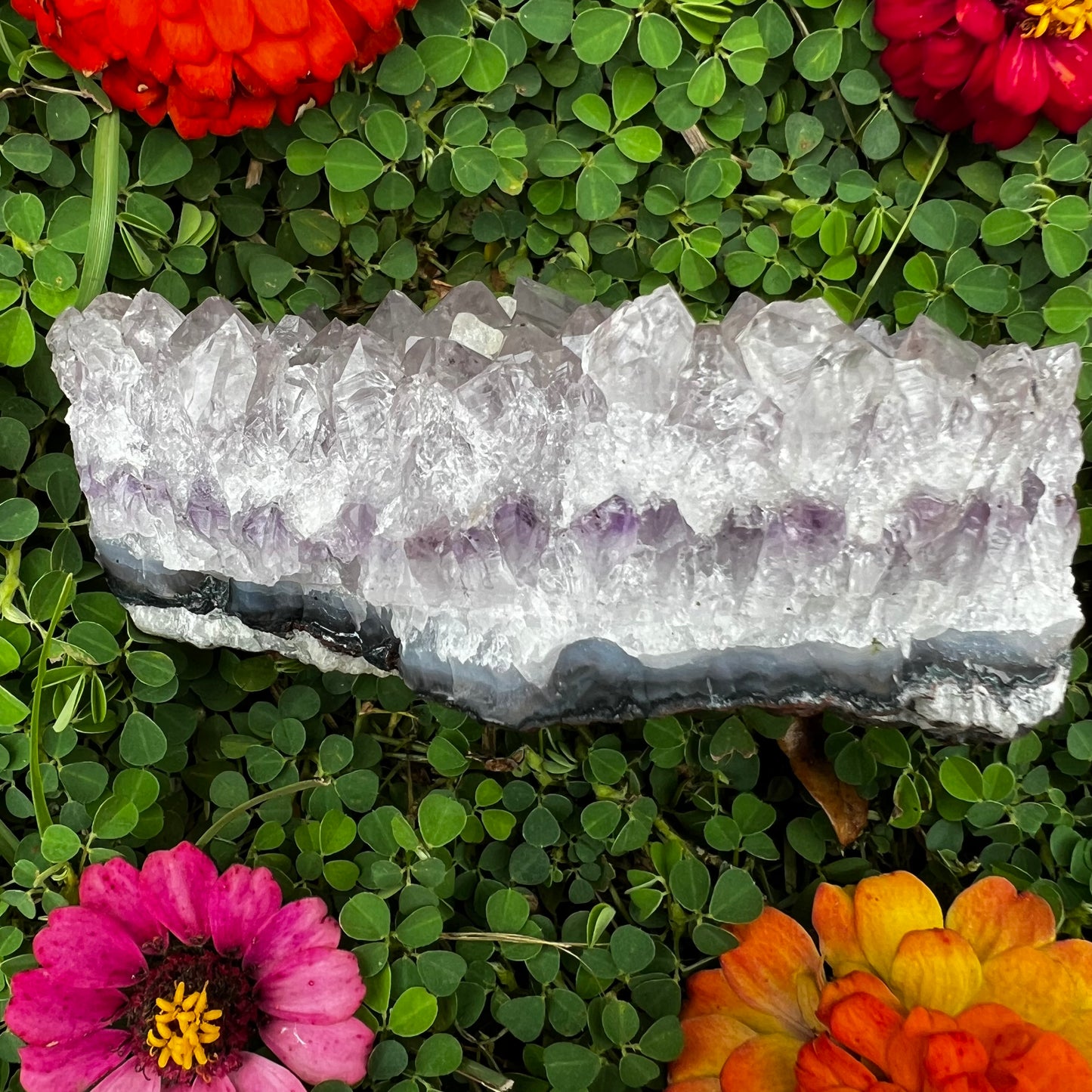 Amethyst cluster #1