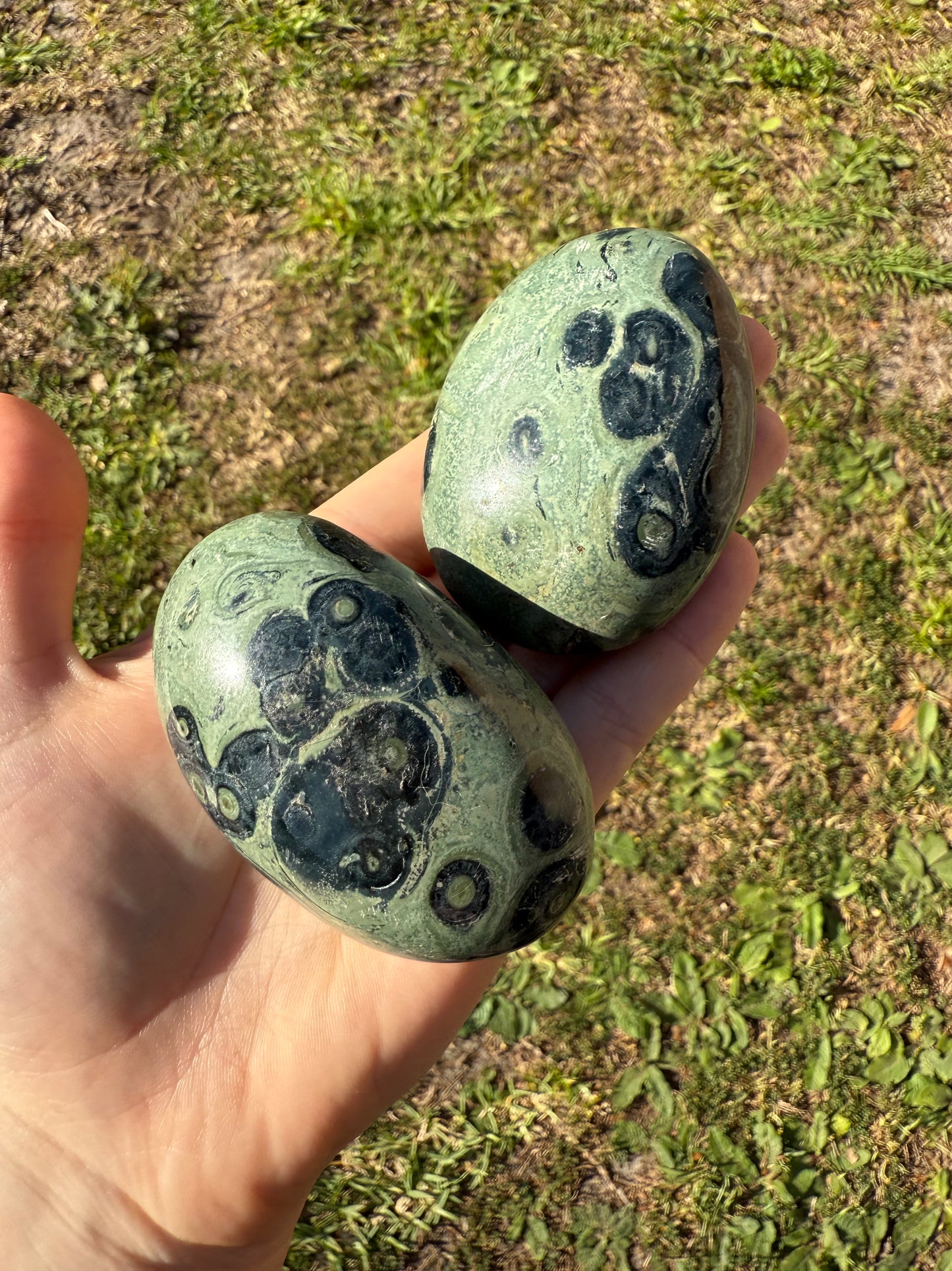Kambaba Jasper palmstones
