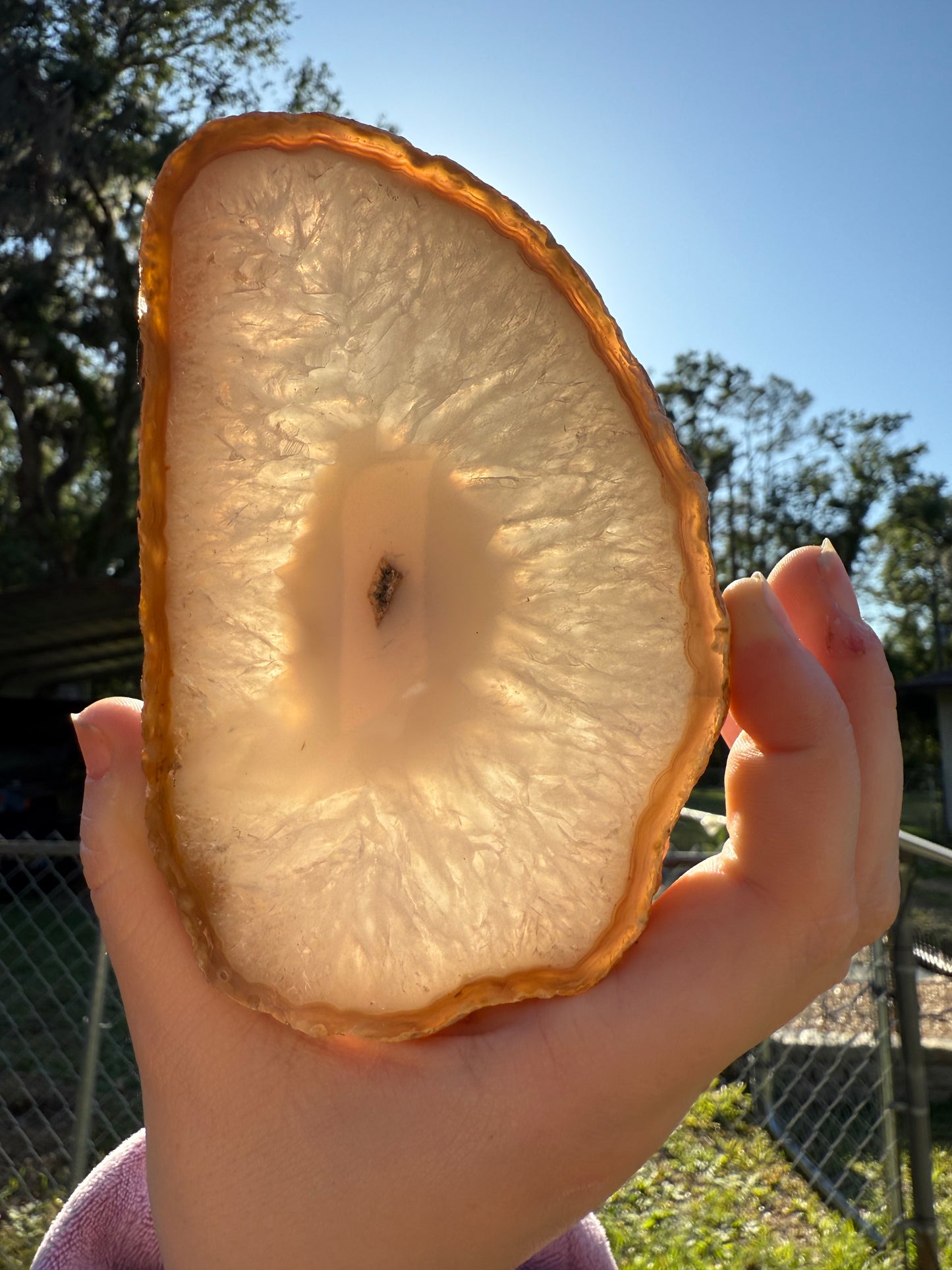Agate slice