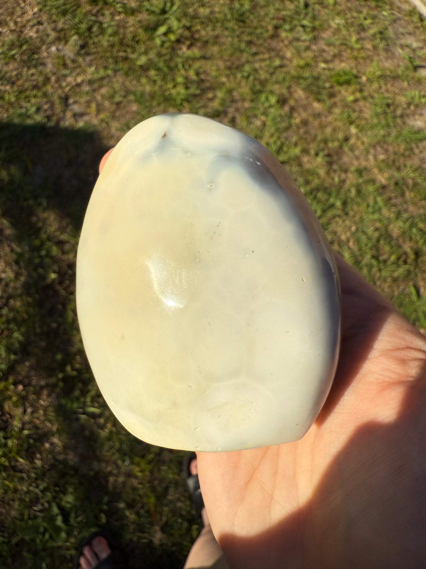 Orca Agate