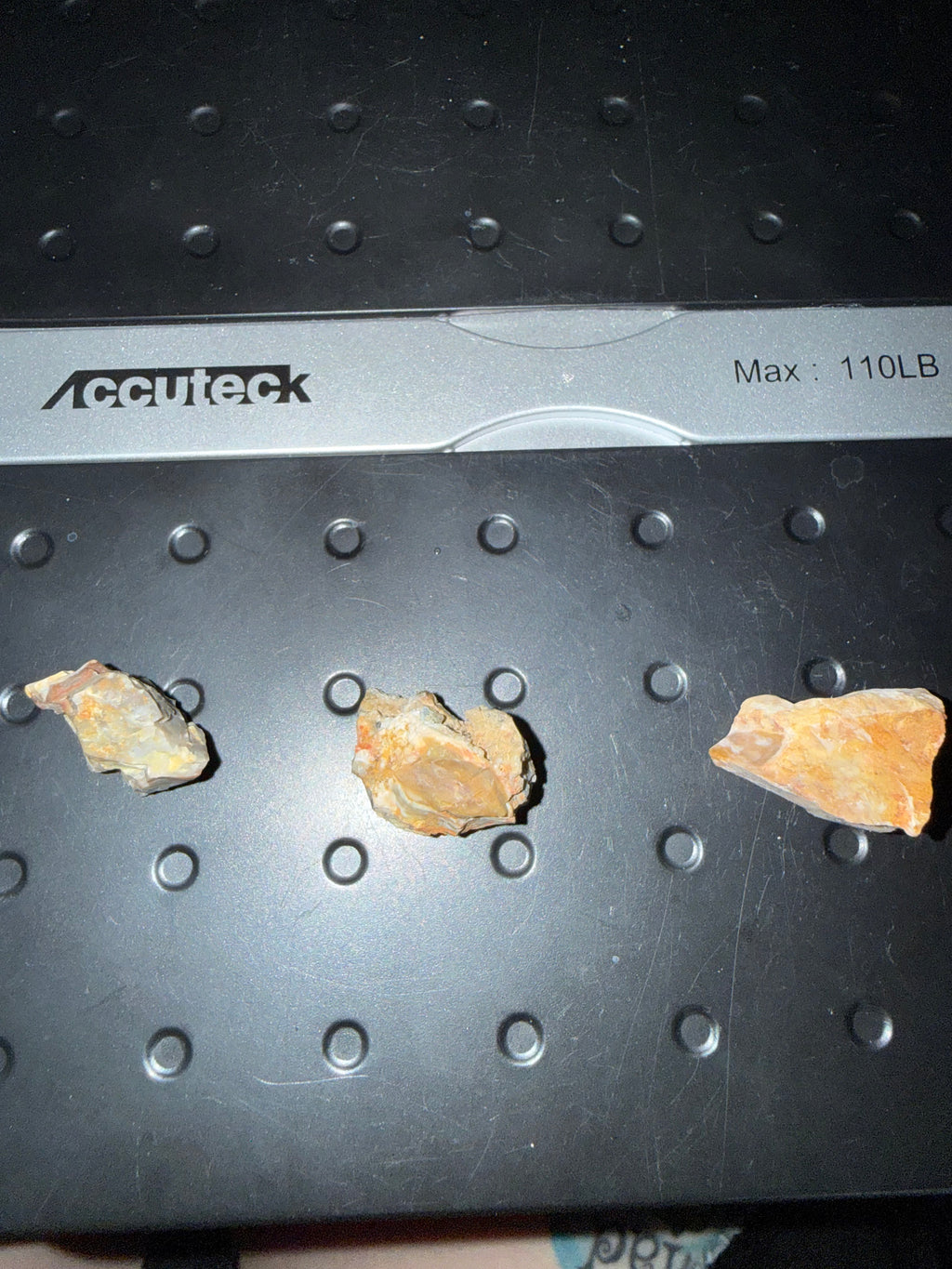 Petrified Wood Bundle