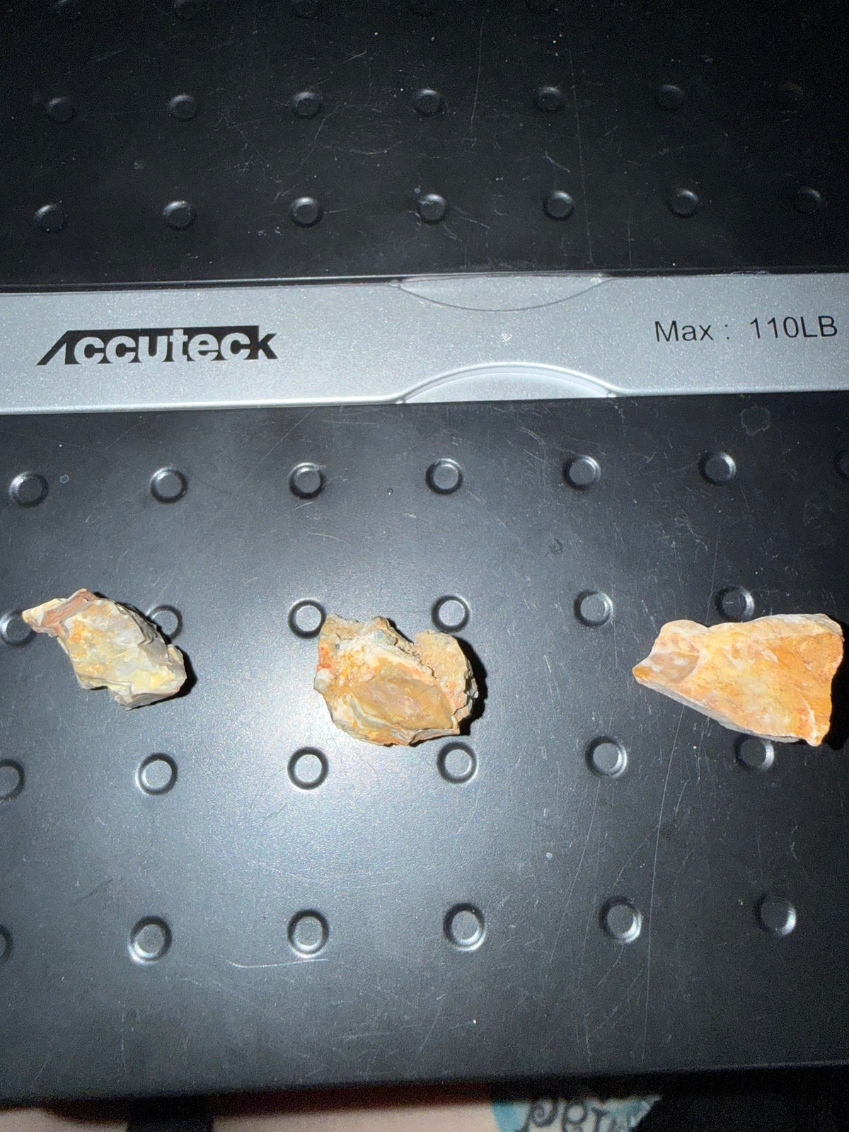 Petrified Wood Bundle