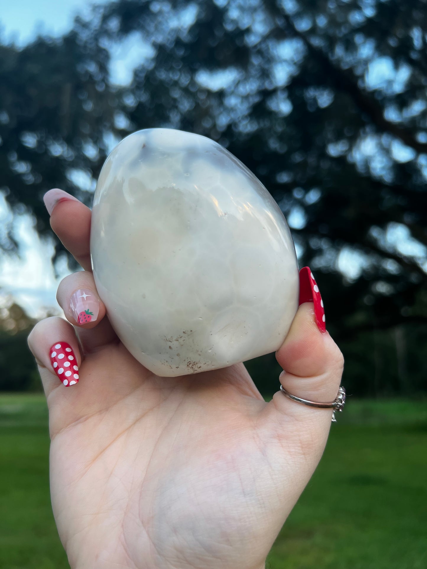 Orca Agate