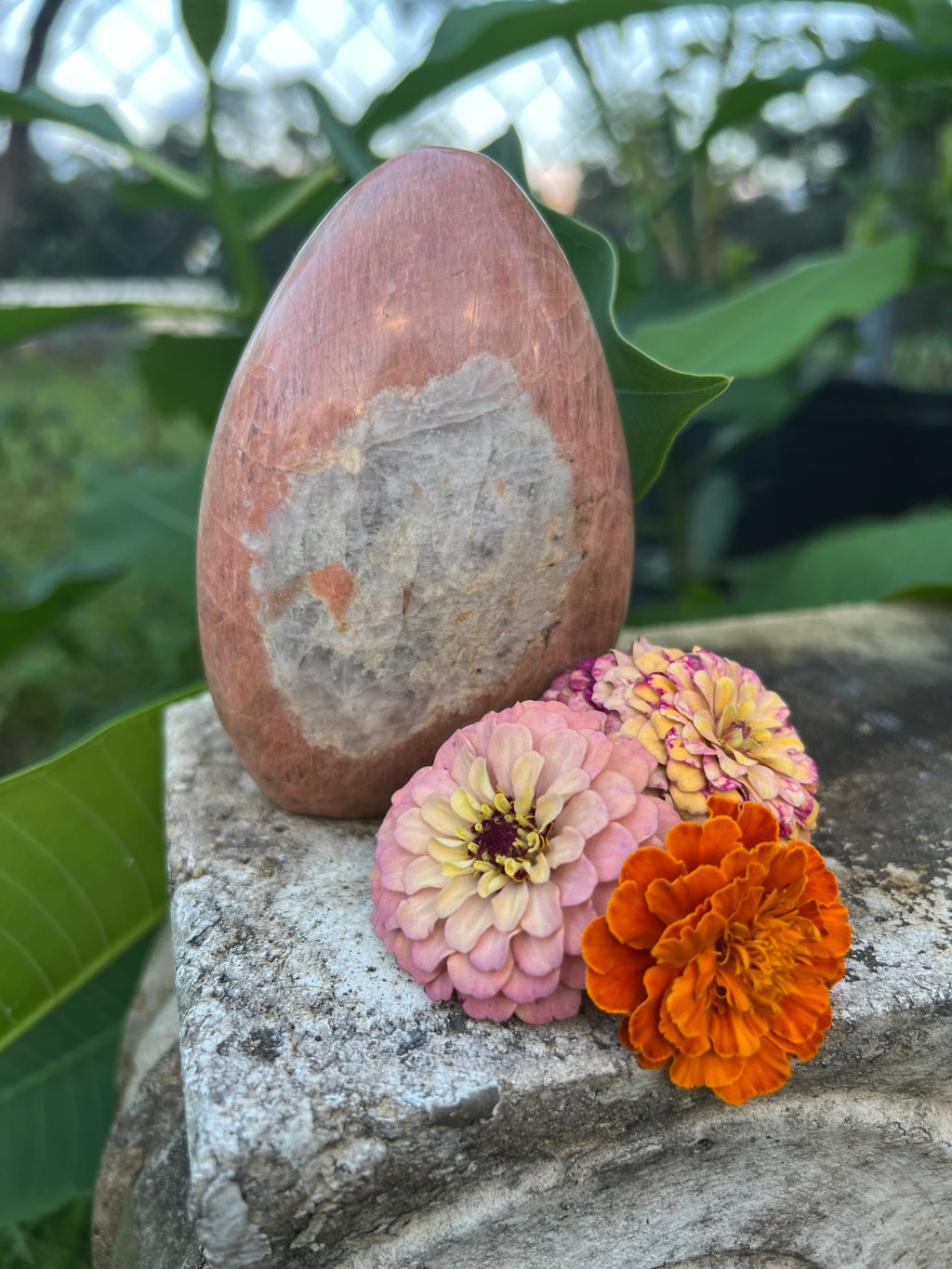 Peach moonstone freeform