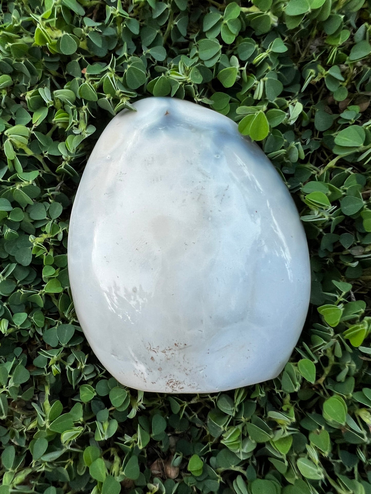 Orca Agate