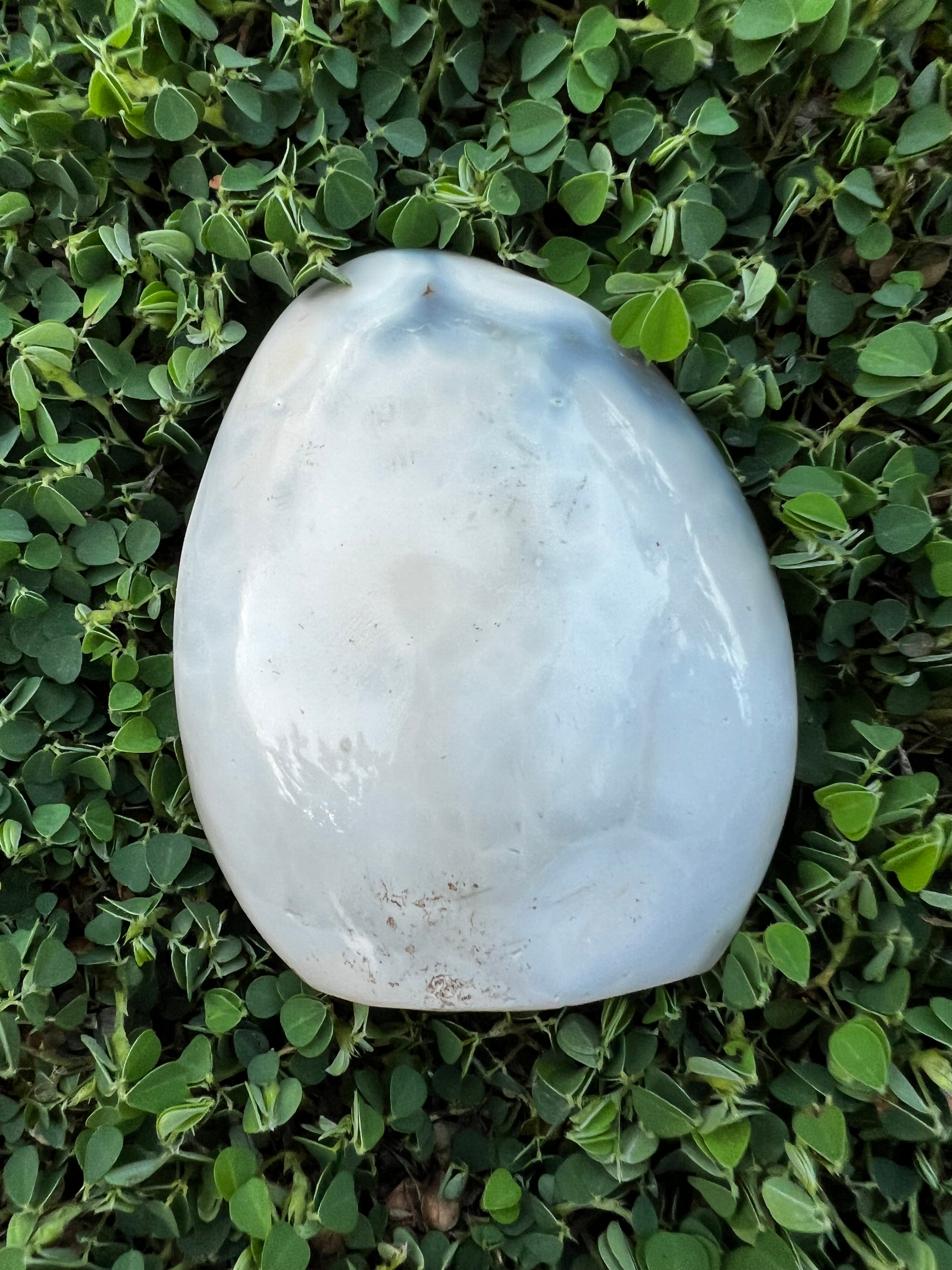 Orca Agate "A"