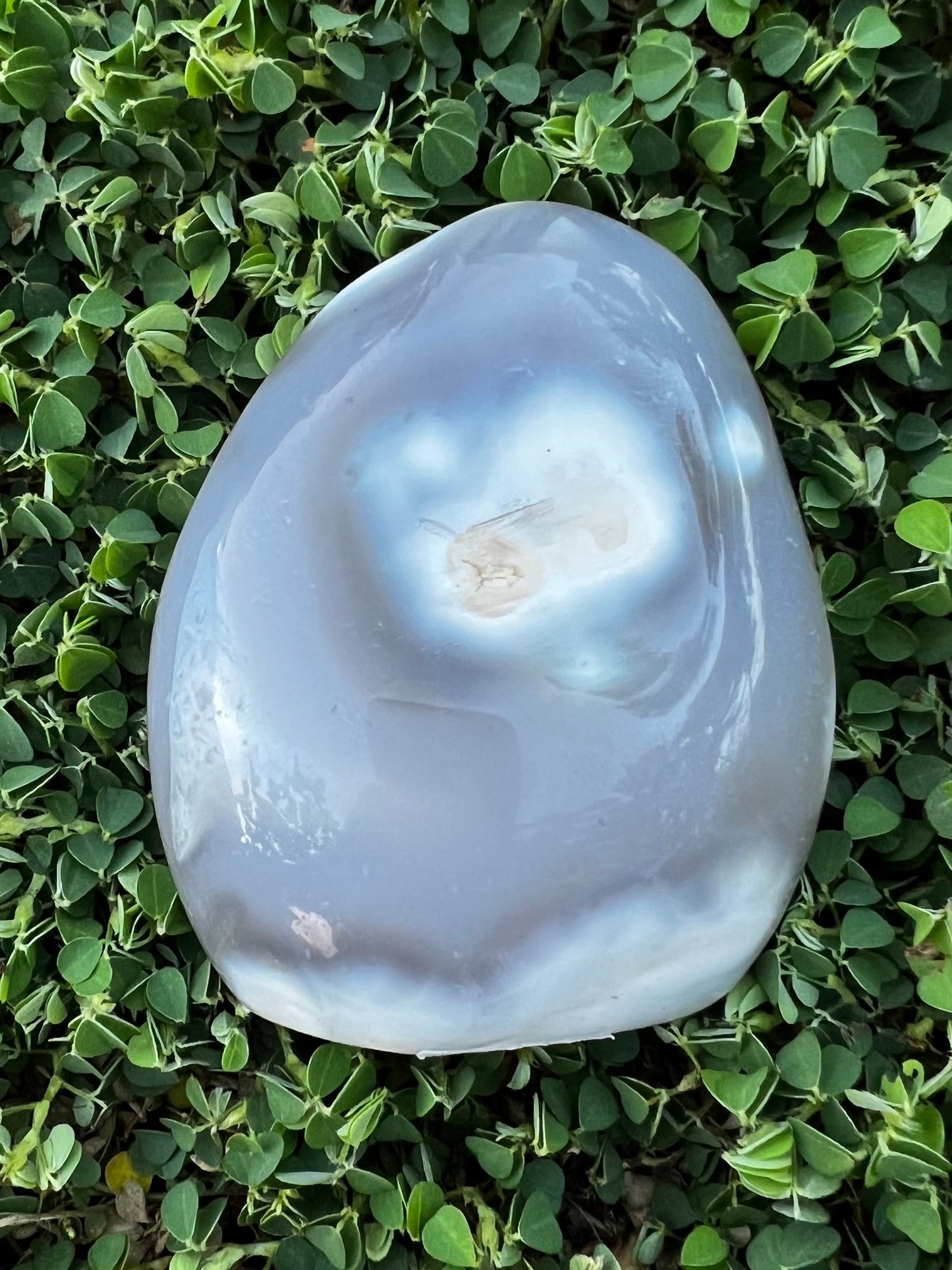 Orca Agate