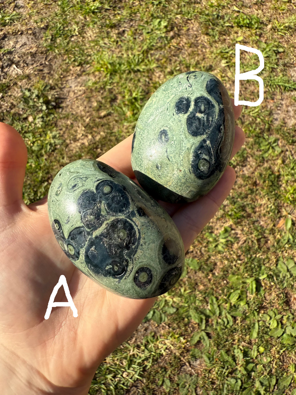 Kambaba Jasper palmstone "B"
