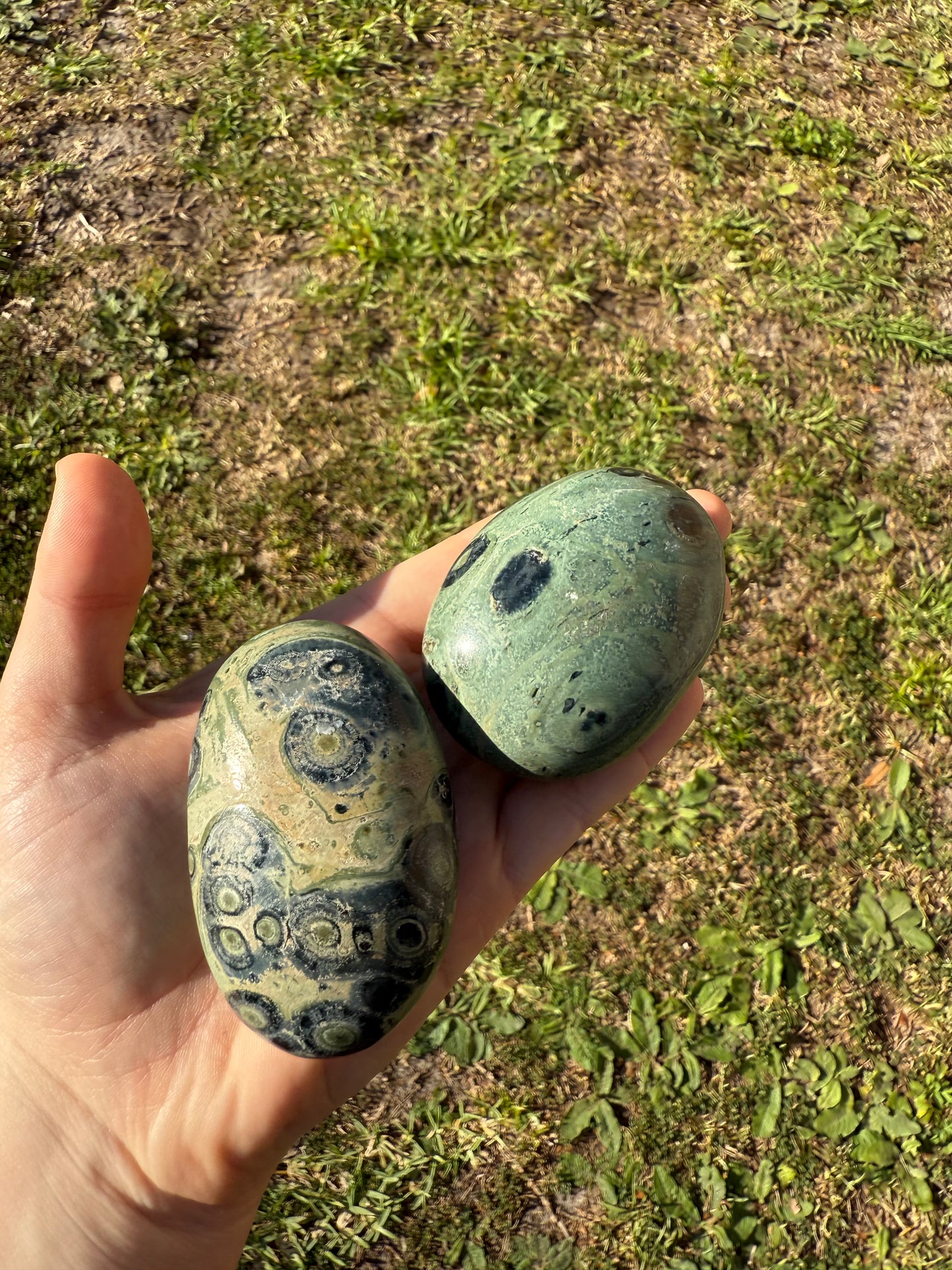Kambaba Jasper palmstones