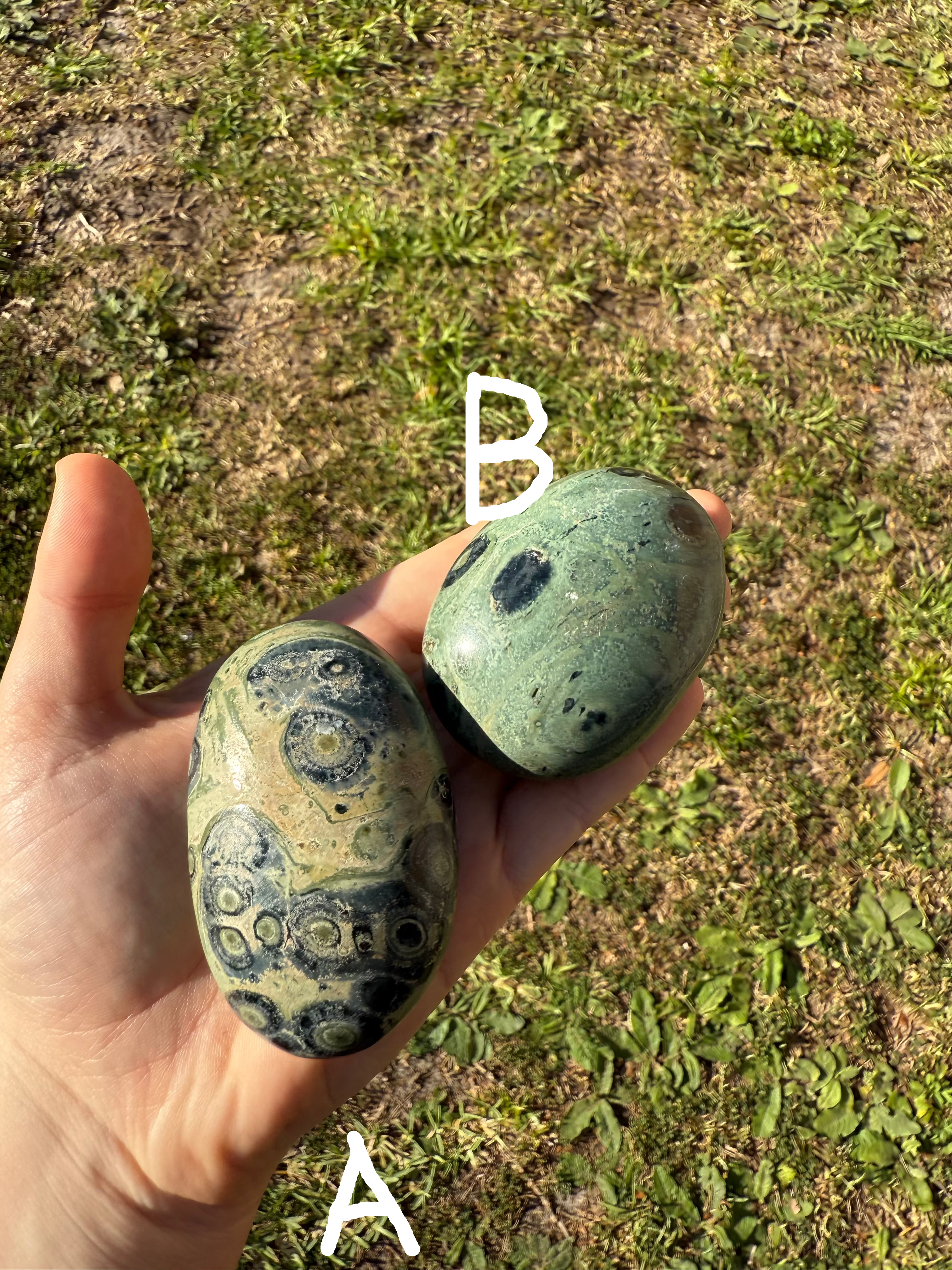 Kambaba Jasper palmstone "B"
