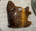 Tiger Eye Fish